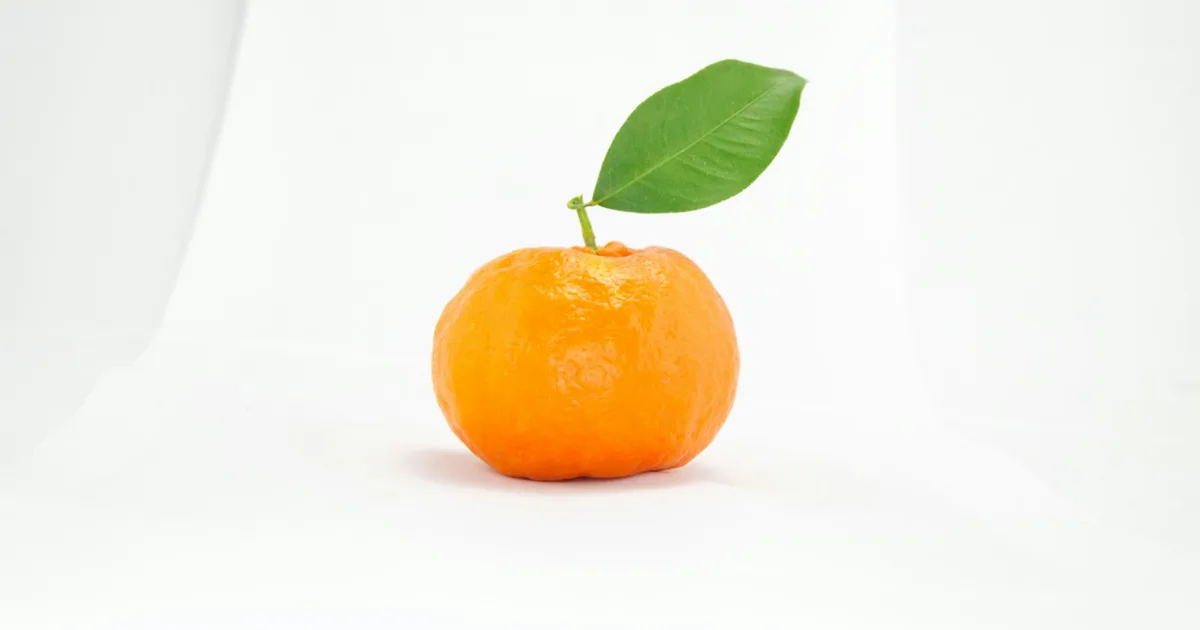 lava e seca top de linha — A batalha contra o protetor solar laranja: como venci a mancha mais teimosa da minha vida